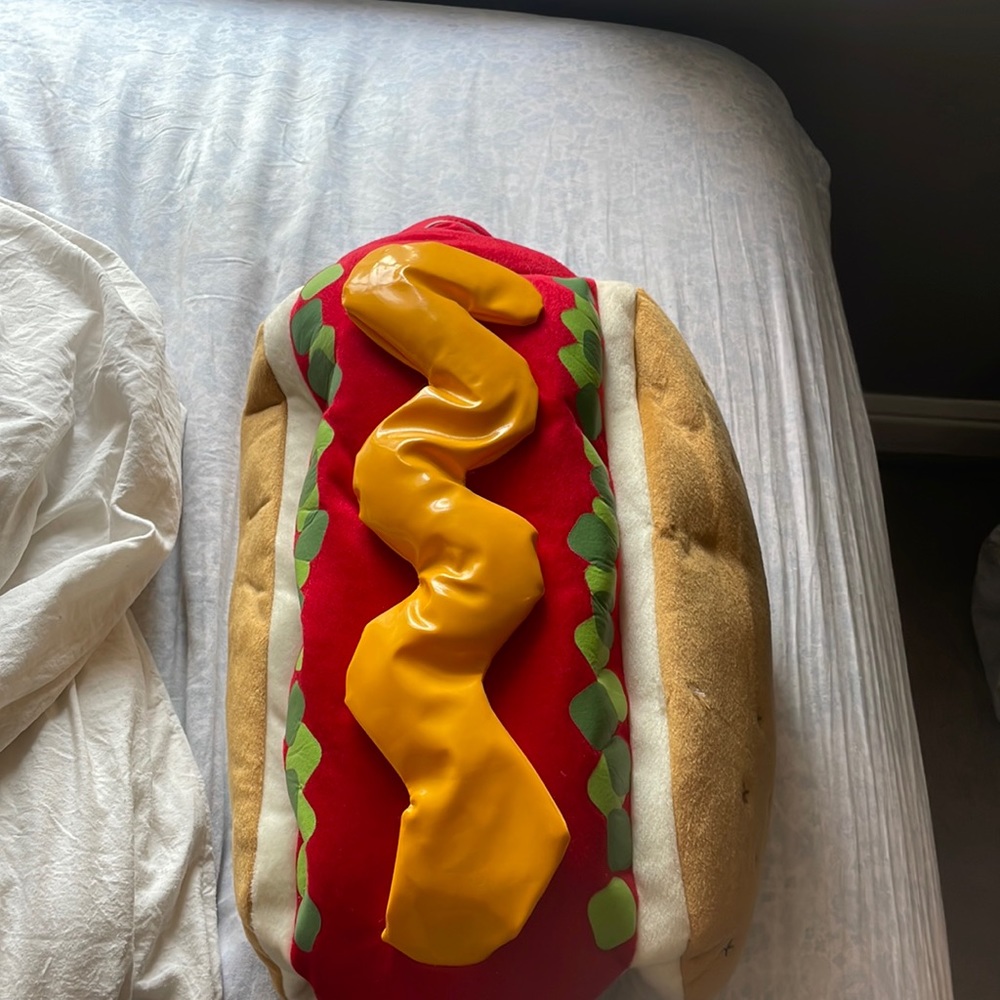 Selling medium size HotDOG costume never worn